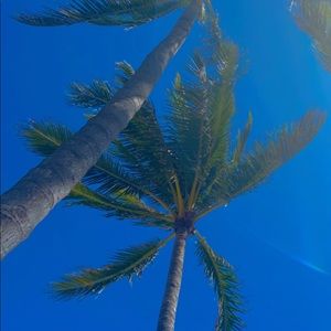 Meet your Posher, Paris